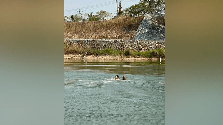 Река, люди, вода, берег