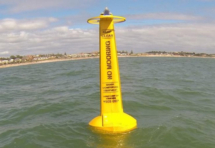 датчик, акули, море, приймач сигналів від акул