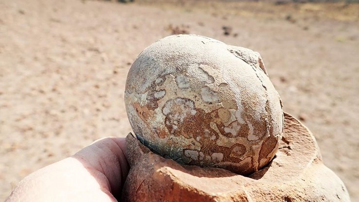 яйце, рука, фото