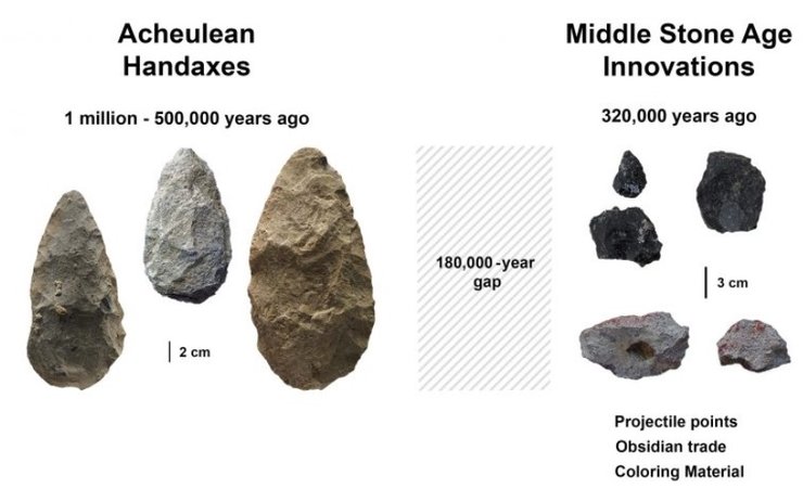 эволюция человека