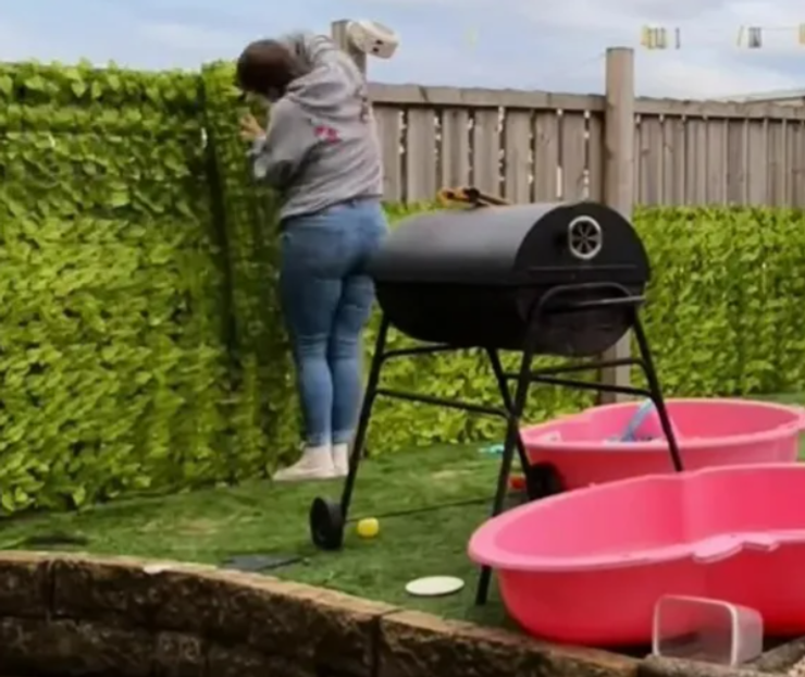 Хизер Барклай из Великобритании, скандал с соседями, забор из плюща, курьезы, креативные решения, дизайн