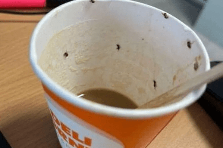 Кава з комахами, кава, кава з автомата, кава в аеропорту, анафілактичний шок, вкололи адреналін, медики, подають до суду