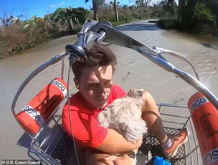 Мужчину поднимают с домашним животным.