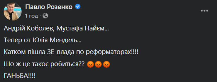 юлія Мендель, звільнення Мендель, прес-секретар Зеленського, Розенко