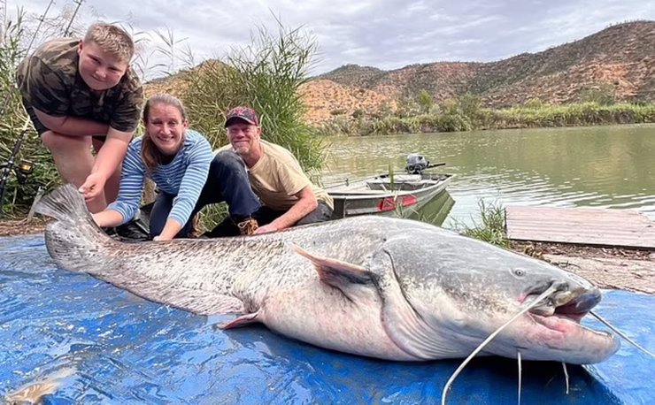 Мальчик поймал 69 килограммового сома, сом, огромная рыба, речной гигант, новый рекорд, гигантская рыба, улов, рыбалка, рыбалка с семьей