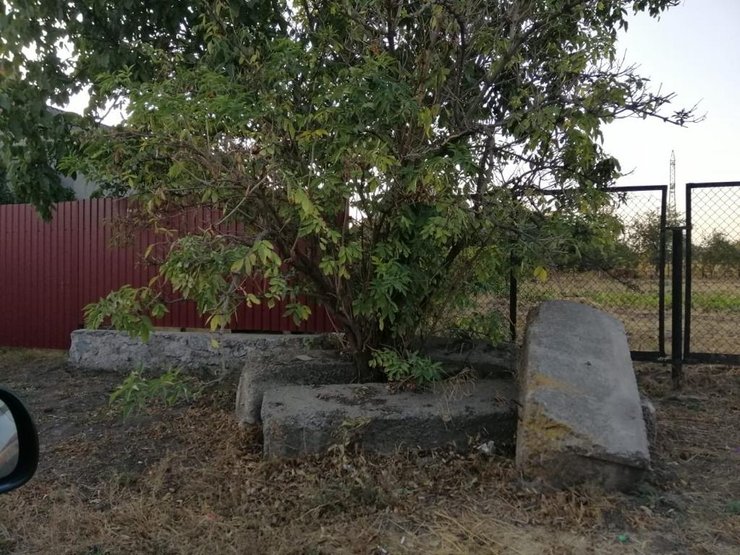 кировоградская область, выборы