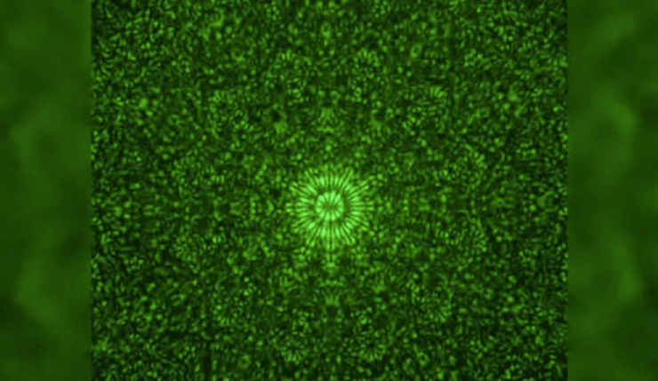 технология, ускоряющая передачу данных по оптоволокну