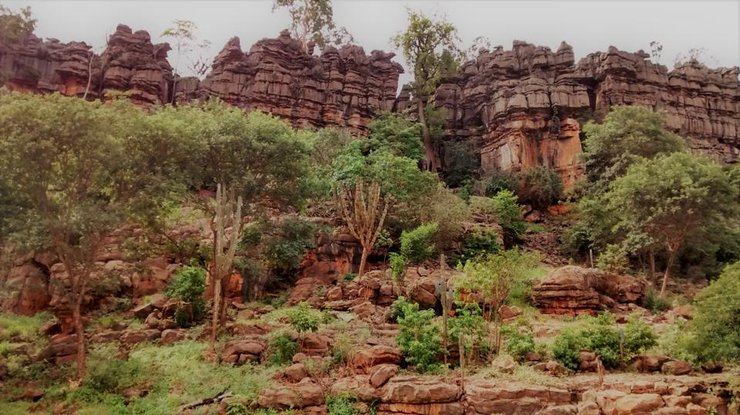 скелі, де гніздяться ара ліра