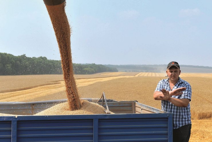 урожай, 2020, Украина, зерновые