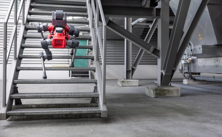 ANYmal D, робот, бот