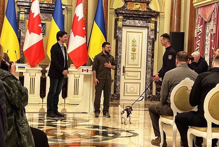 Джек-рассел-тер'єр, пес Патрон, службовий пес патрон, владимир зеленський, джастін трюдо