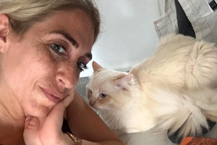 Экстрасенс с котом, кот-ясновидящий, предсказание на 2025 год, карты Таро, кот гадает по картам, чтение карт Таро, каким будет 2025 год