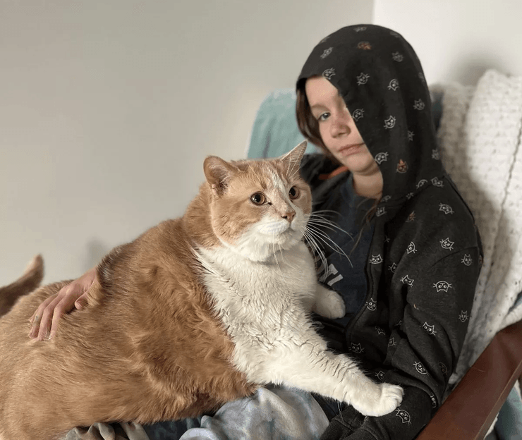 Женщина взяла огромного кота, огромный кот, спасла кота, диета для кота, посадили кота на диету, кот размером с 10-летнюю дочь