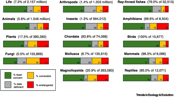 массовое вымирание земля