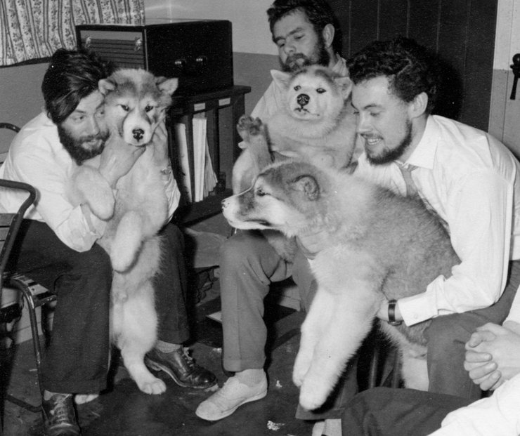 деніс белл антарктида