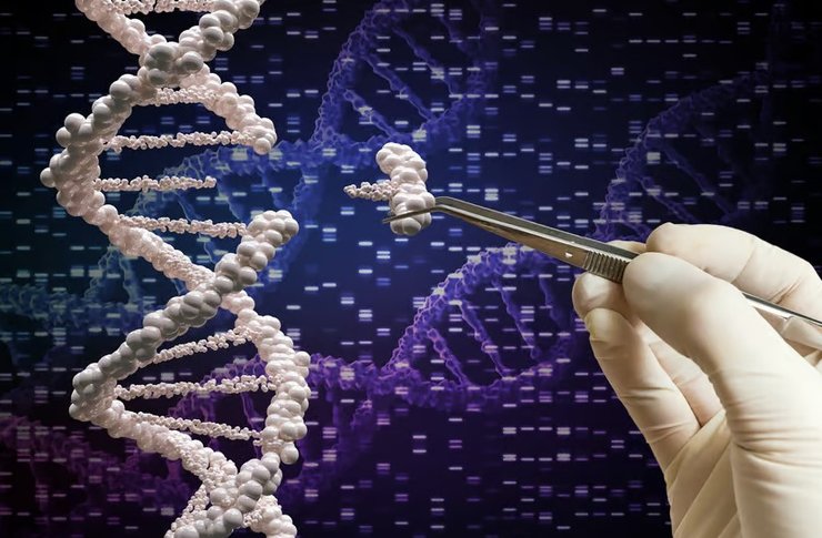 геном, редактирование генома, днк