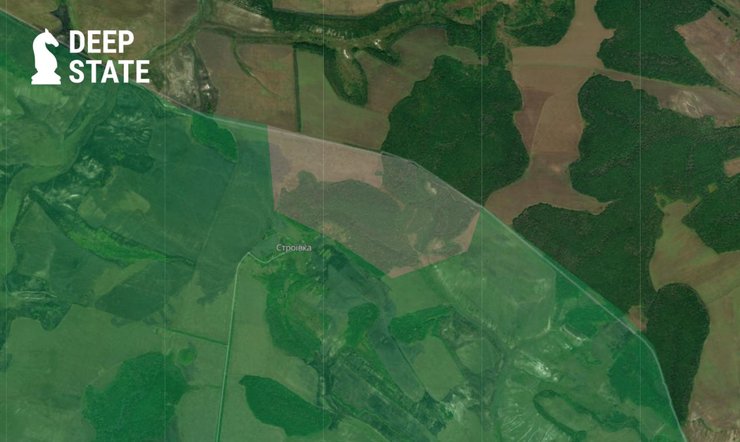 Серая возле Строевки на Харьковщине