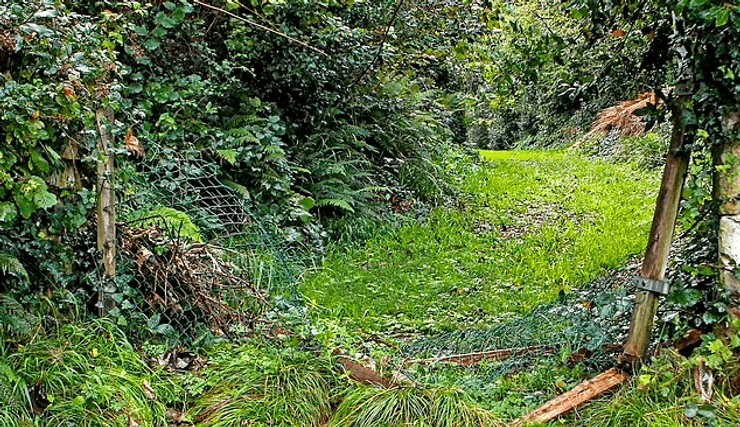 Дети разгромили дом, использовали топоры и бензопилы, нанесли огромный ущерб, дети разрушили дом, побили окна, испортили мебель,