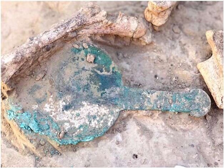 скифы, раскопки, исследования