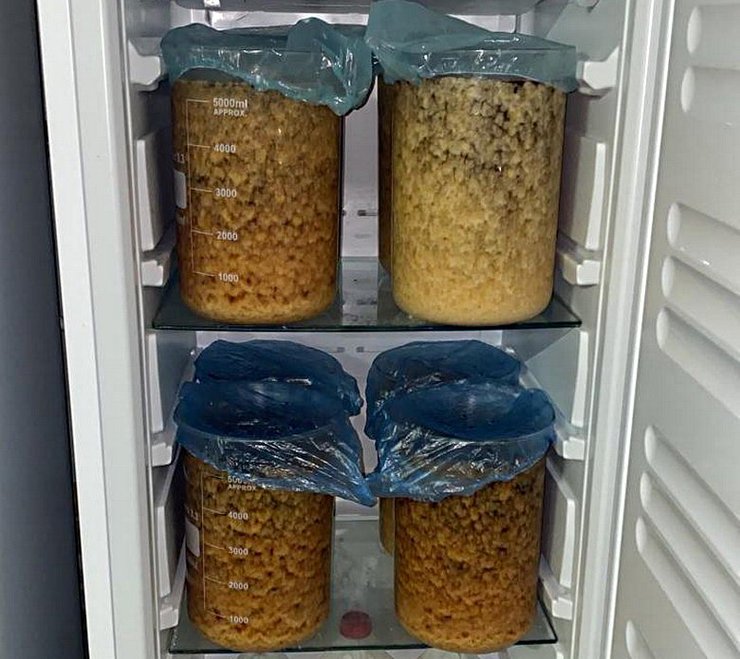 мвд, полиция, наркотики