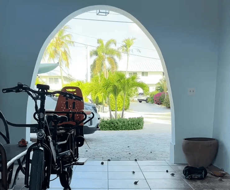 В раковинах, которые женщина забрала с пляжа, жили крабы