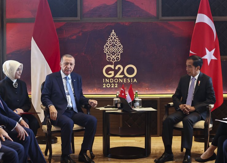 Видодо саммит G-20, Эрдоган саммит G-20, G-20, саммит G-20, G-20 на Бали, США или Китай, США против Китая, какие страны поддерживают Китай,