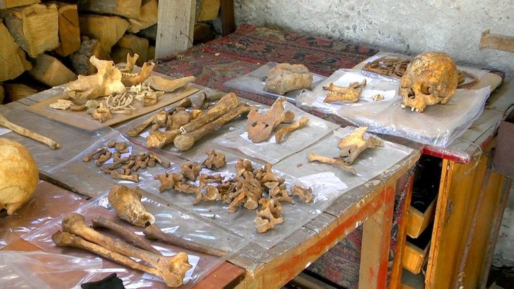 Вінниця, собор, розкопки, артефакти, історія, музей, козаччина, проект, монастир, липень, дослідження, знахідки, кераміка, кістки, череп, рештки, археологи, археологія, останки, піч