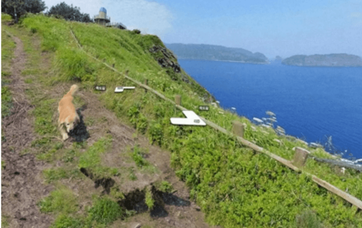 Собака слідував за фотографом Google Maps і з'явився в більш ніж у 1000 місцях