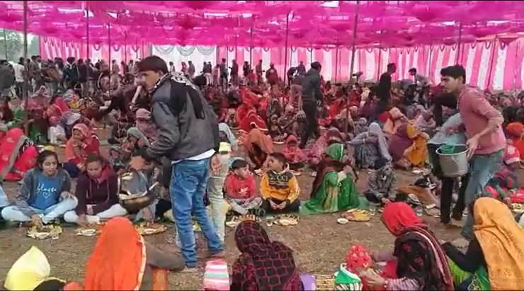 Индия, обезьянка, лангур, похороны обезьянки