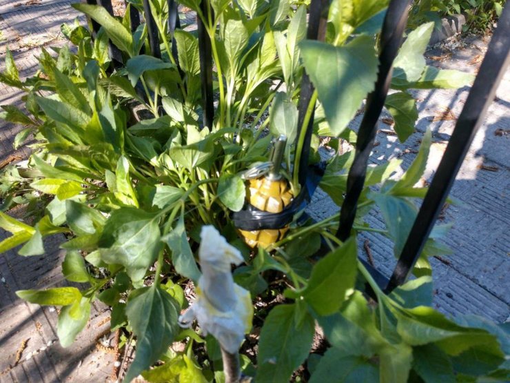 Кладовище під Харковом, розтяжки окупантів