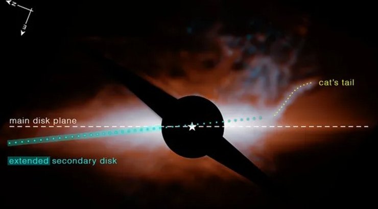 звезда Бета Живописца