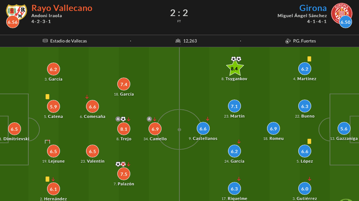 Цыганков жирона