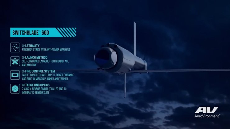 беспилотник, дрон, бпла, Switchblade 600