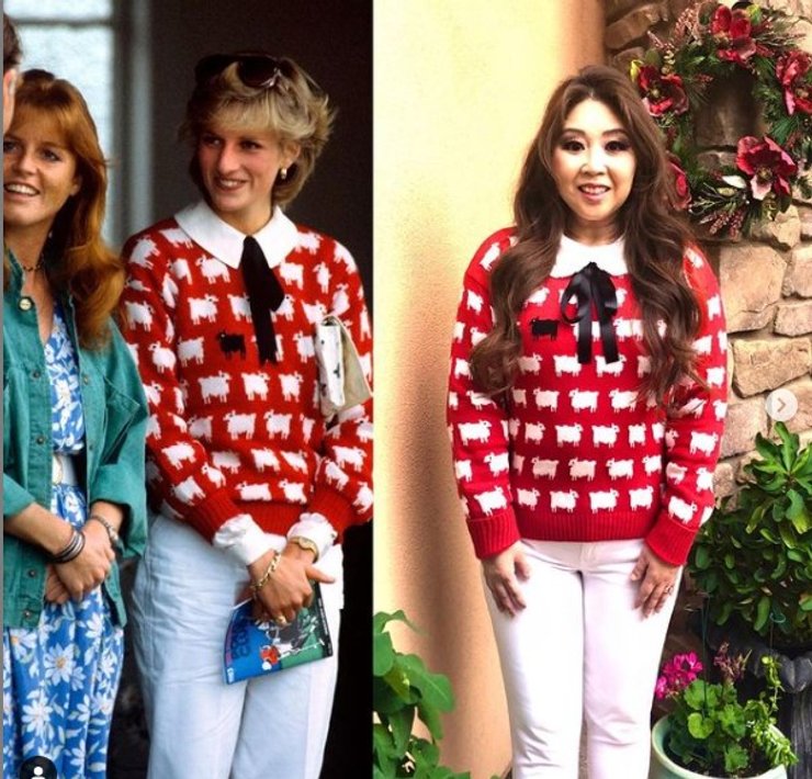 принцесса Диана, Lady Janelle, образ