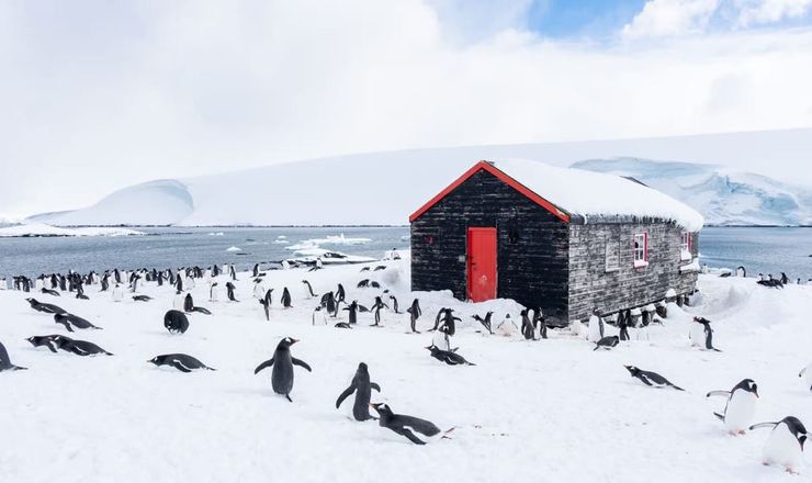 Лучшая работа в мире, трудоустройство, вакансии для людей без опыта, Антарктида