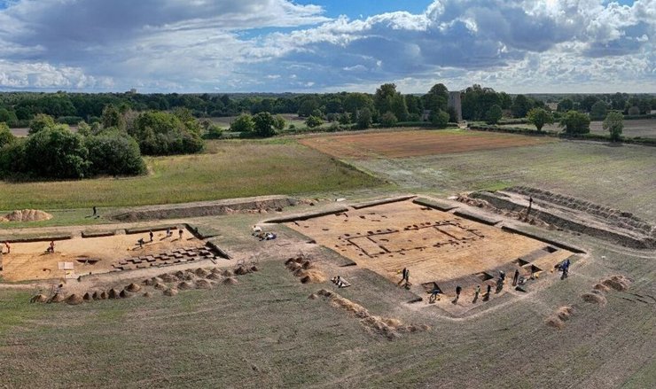 раскопки, деревья, фото