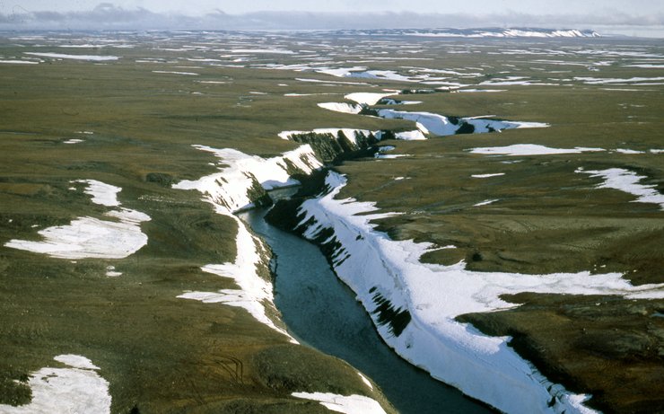 трава, лід, вода, фото
