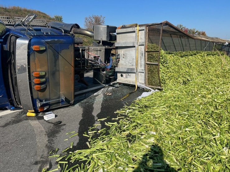 Грузовик со стеблями сельдерея
