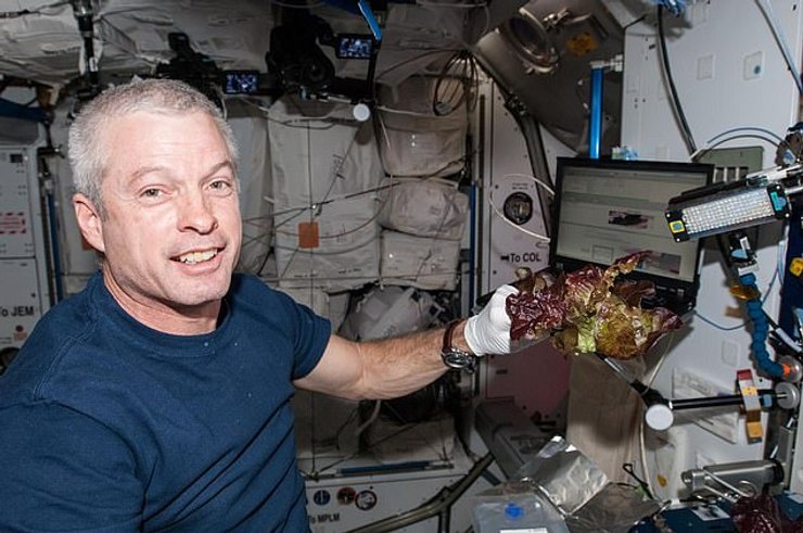 nasa, салат, мкс, астронавты, космонавты, космос