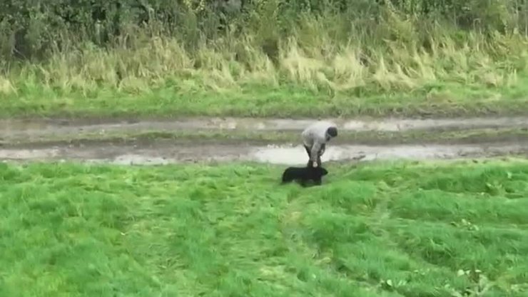 Сліпий собака знайшов господаря, дрон відшукав собаку, безпілотник відшукав собаку, безпілотником шукають тварин, зниклі тварини,