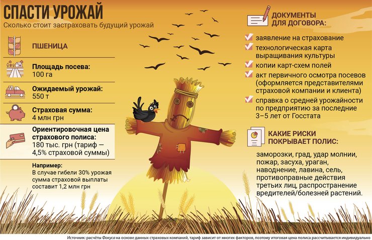 страхование урожая, страховая сумма, стоимость полиса - инфографика