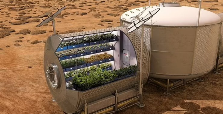 Рослини, Марс