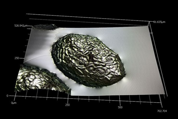 водная мука гравитация