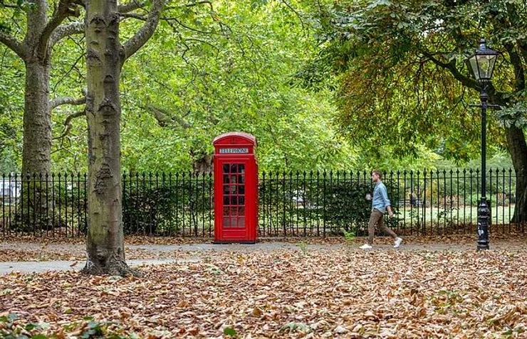 Дерева скидають листя в Брансвік-парку в Лондоні під час "хибної осені", щоб пережити літню посуху
