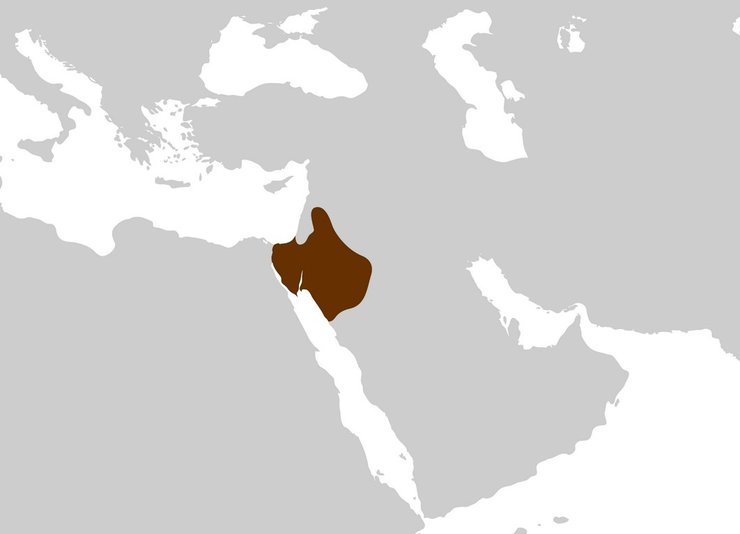Набатейське царство