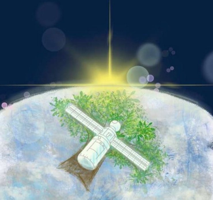 деревянный спутник, LignoSat, Япония