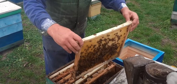 день святого валентина, праздник, день святого валентина 2024