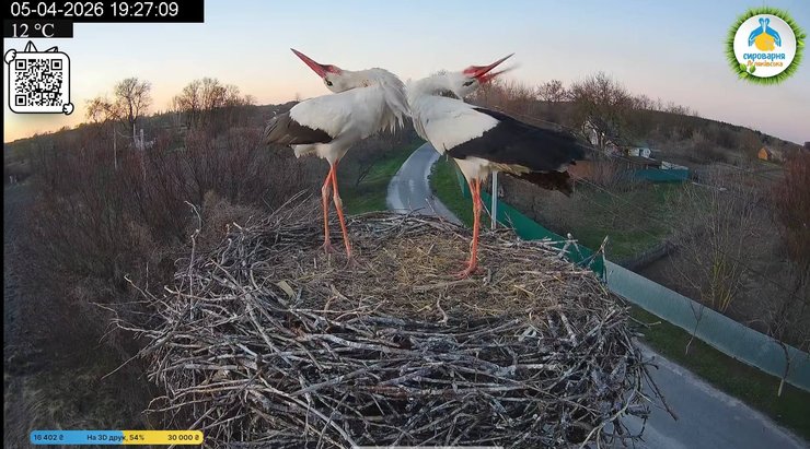 Лель и Одарка провели ночь вместе