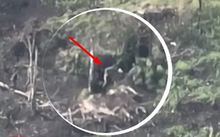 ЗСУ показали бійку росіян