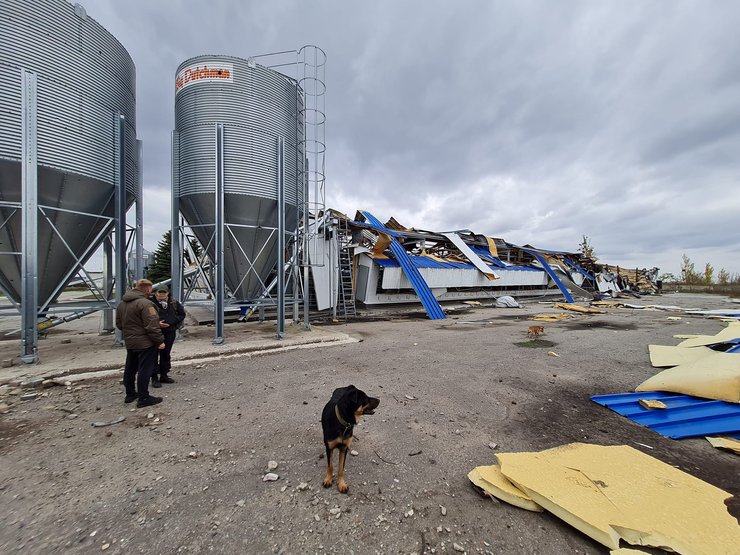 куриные яйца, донецкая область, птицеферма, предприятие по производству яиц, маяки